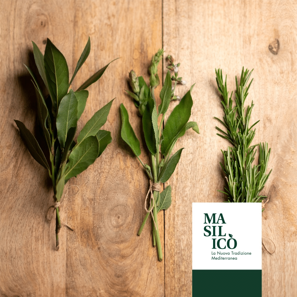Erbe spontanee, aromi e spezie - Blog Masilicò