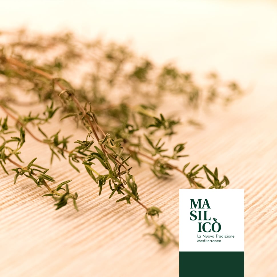 Utilizzo e proprietà del timo - Blog Masilicò