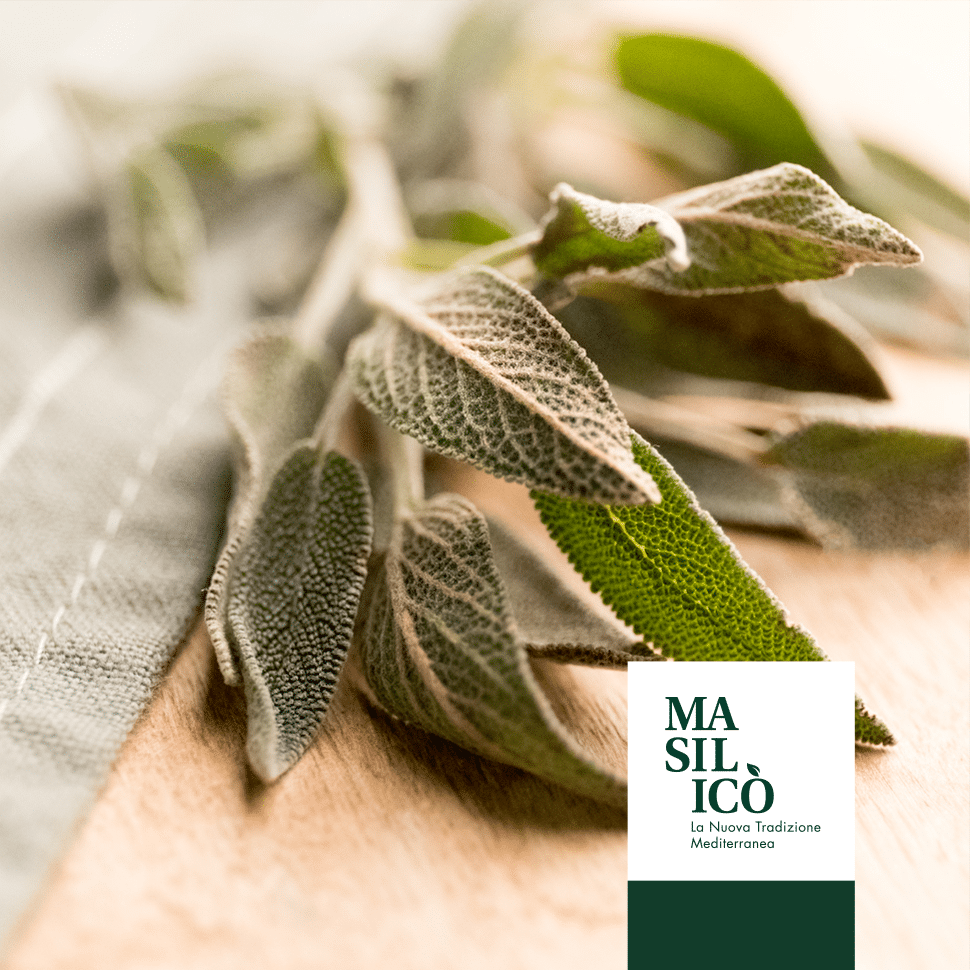 Storia e proprietà della Salvia - Blog Masilicò