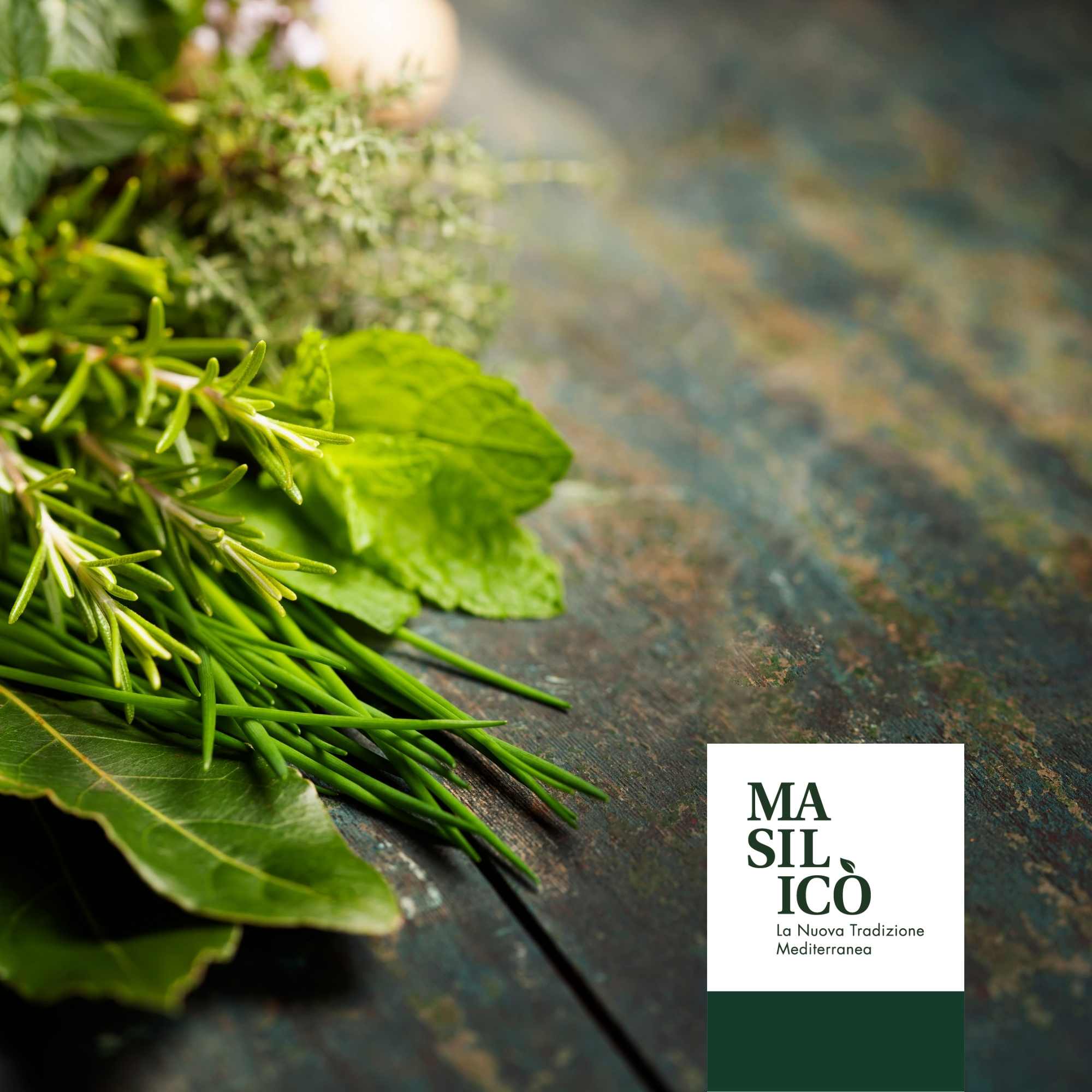 La macchia Mediterranea e i suoi aromi