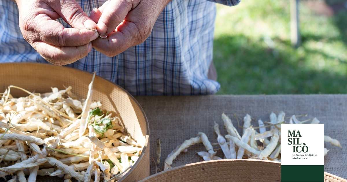 CONTADINI DEL CILENTO