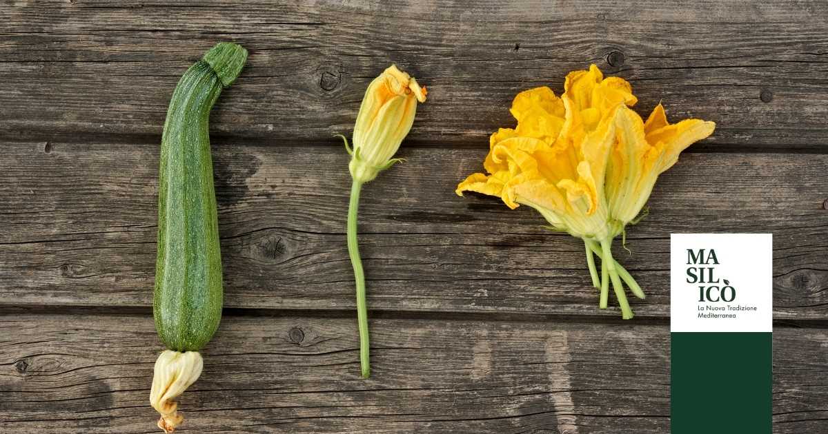 Sciurilli e cucuzzielli