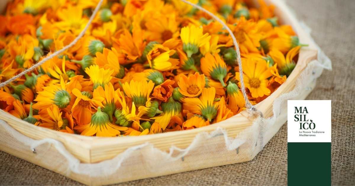 Insalata Ceci Radicchio Mele Fiori Calendula